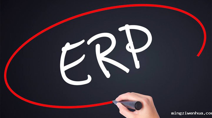 化工新材料ERP软件使用后对企业效益有何提升？